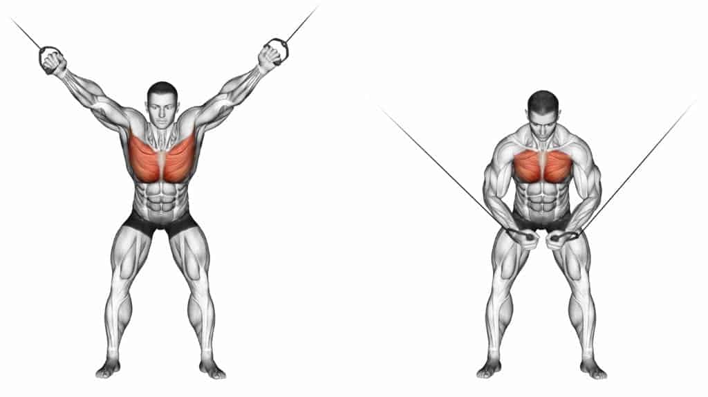 Reduction of the upper blocks CROSS-OVER. Exercising for bodybuilding ...