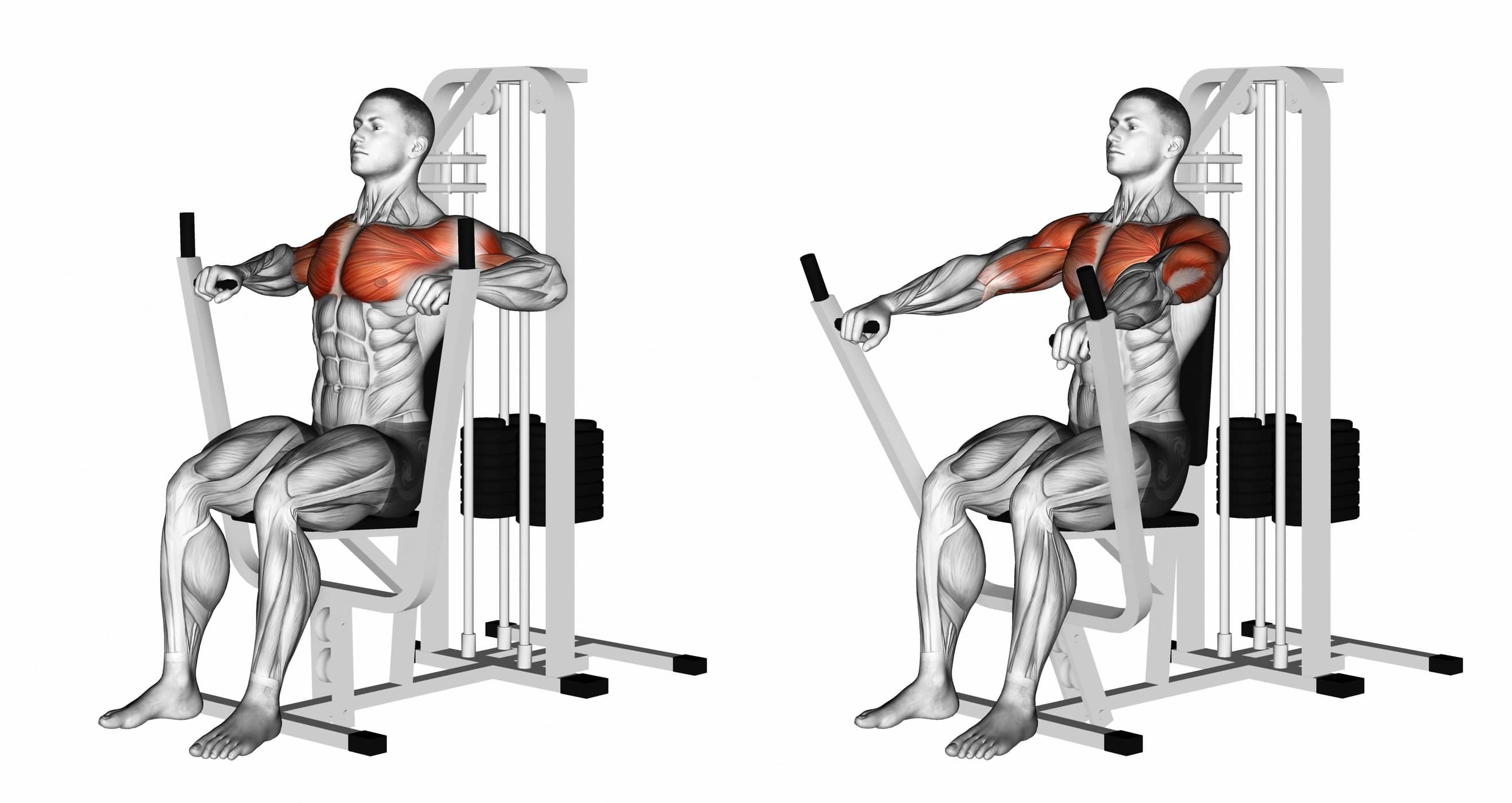 seated-chests-press-exercising-for-bodybuilding-target-muscles-are