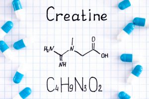 Avenue Sophie Hør efter Creatine Cycle-Why It Will Hurt Your Results - 2022 Truism Fitness